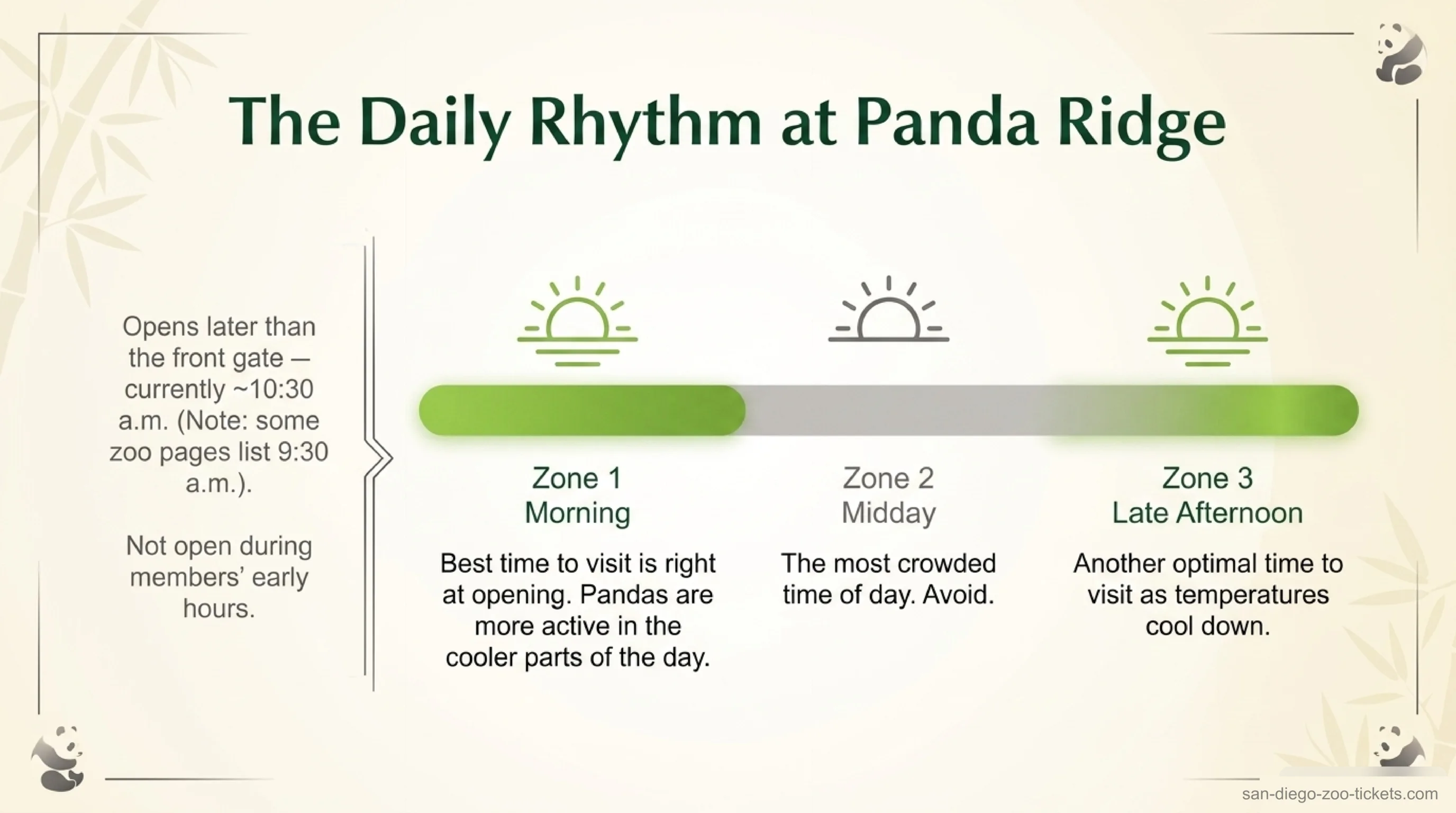 Best time to see the San Diego Zoo pandas — Panda Ridge opens around 10:30 a.m.; visit at opening or late afternoon and avoid the midday crowd