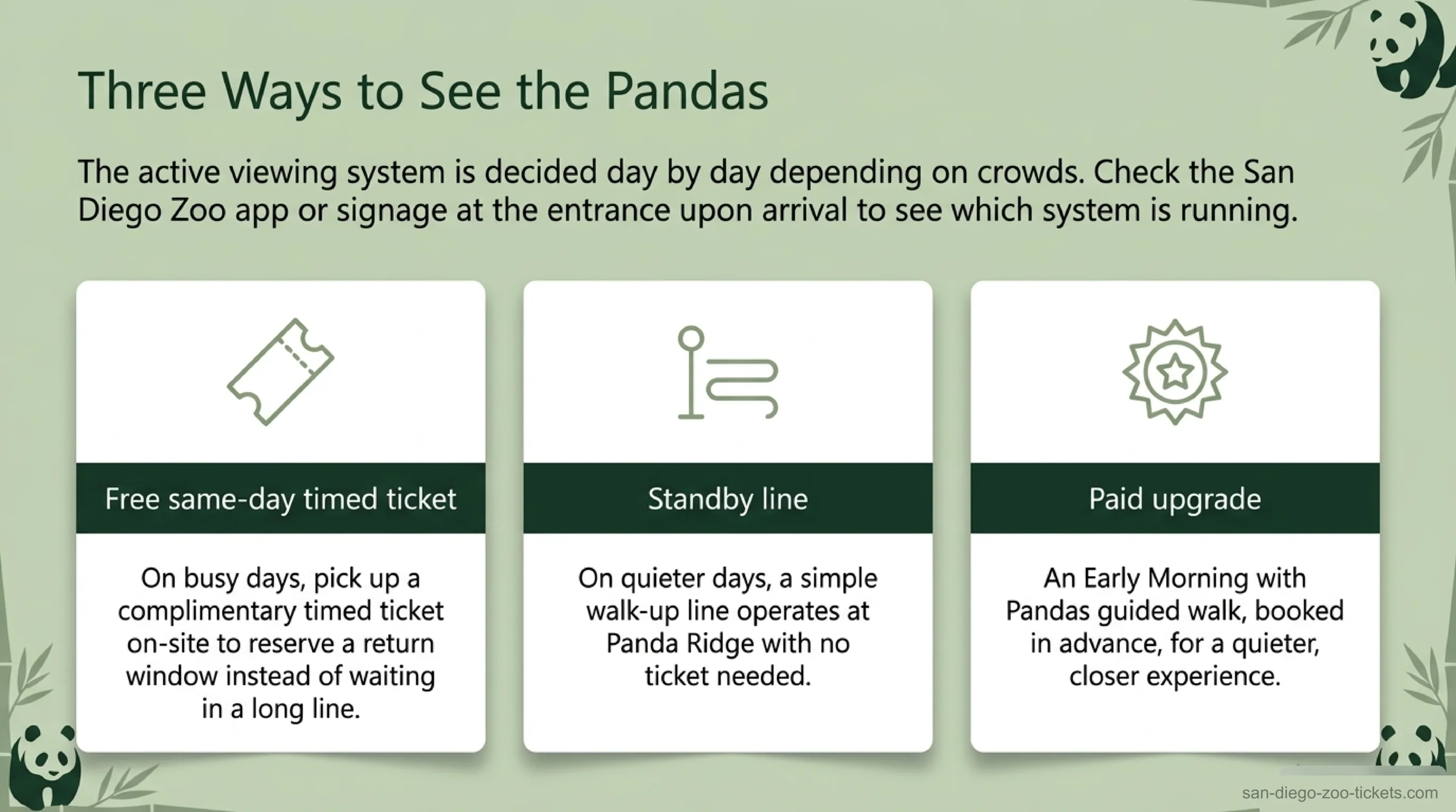 Three ways to see the San Diego Zoo pandas — a free same-day timed ticket, the standby line, or the paid Early Morning with Pandas tour, all decided day by day