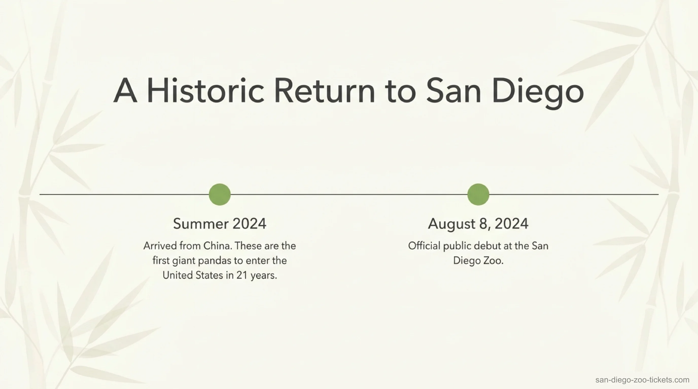 Timeline of the San Diego Zoo giant pandas — arrived from China in summer 2024, the first pandas in the US in 21 years, with their public debut on August 8, 2024